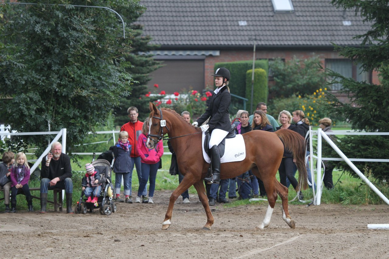 Bild 48 - WBO-Turnier am 18.9.11